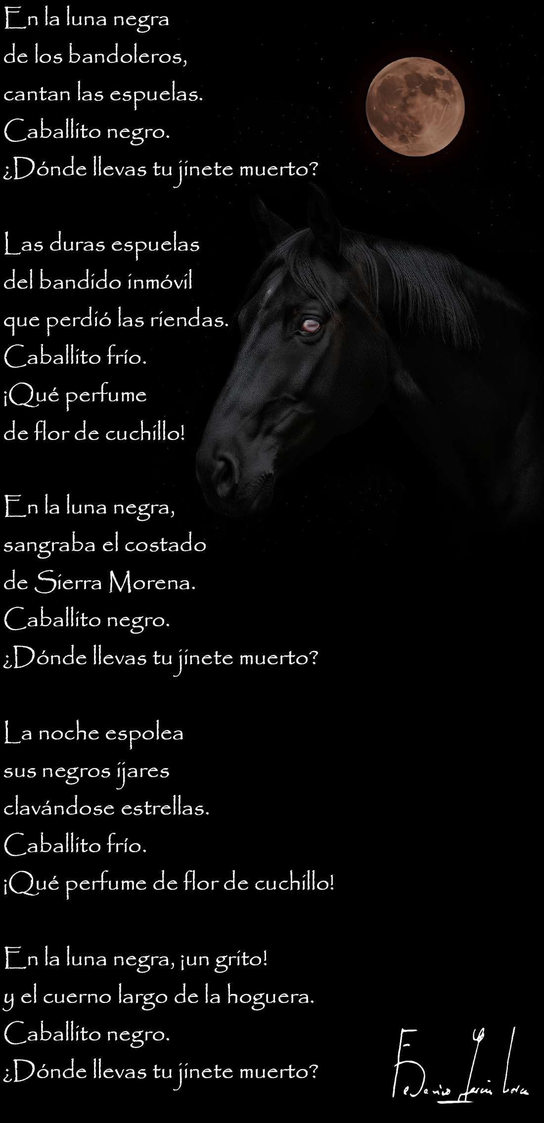 Letra de Canción del jinete